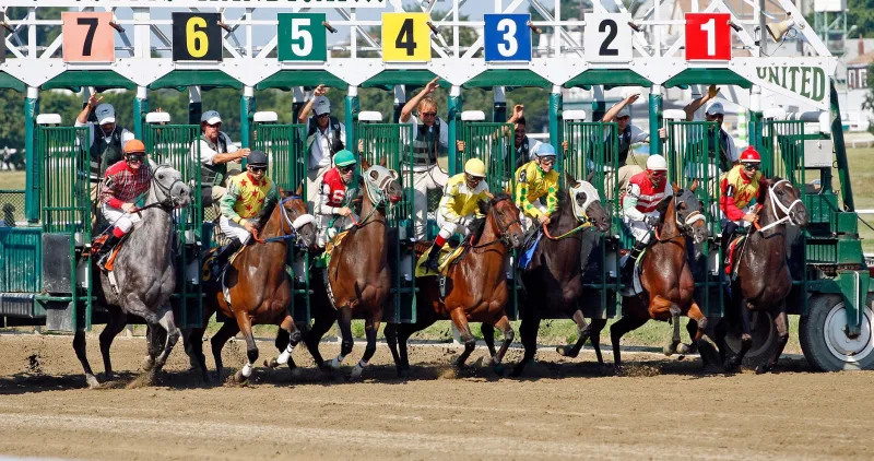Grand Final Brain: Why Big Sporting Events Turn Smart Punters Into Reckless Ones